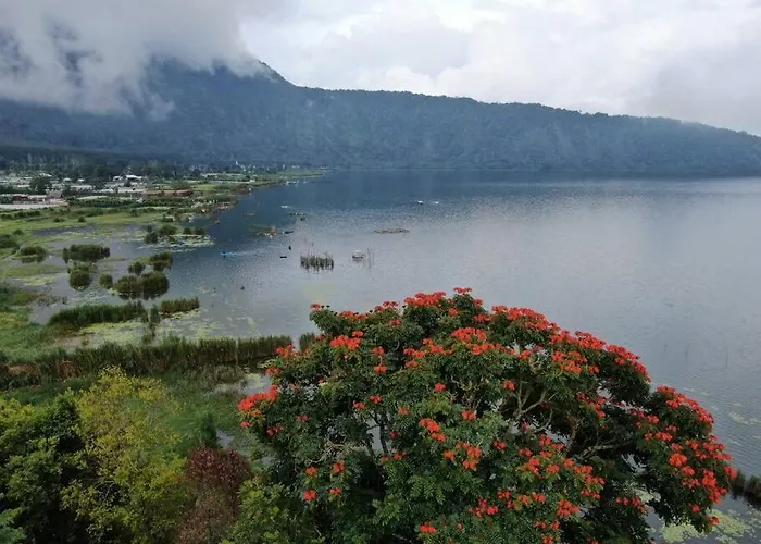 Jado 3 - And Mountain View Villa Bedugul (Bali)